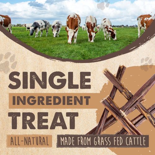 Mighty Paw - Beef Gullet Sticks for Dogs (6 Inch - 30 Pack) | Premium Beef Esophagus Dog Treats. Gullet Sticks, Ideal for Large and Small Dogs Teething and Light Chewing. Rawhide Free, Bulk Dog Chews