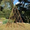 Selections Expanding Willow Garden Obelisk (1.2m) (One)