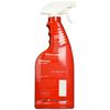 Sea Foam BBG1 Cleaner
