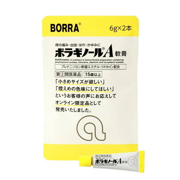 【指定第2類医薬品】ボラギノールA軟膏 6g×2本
