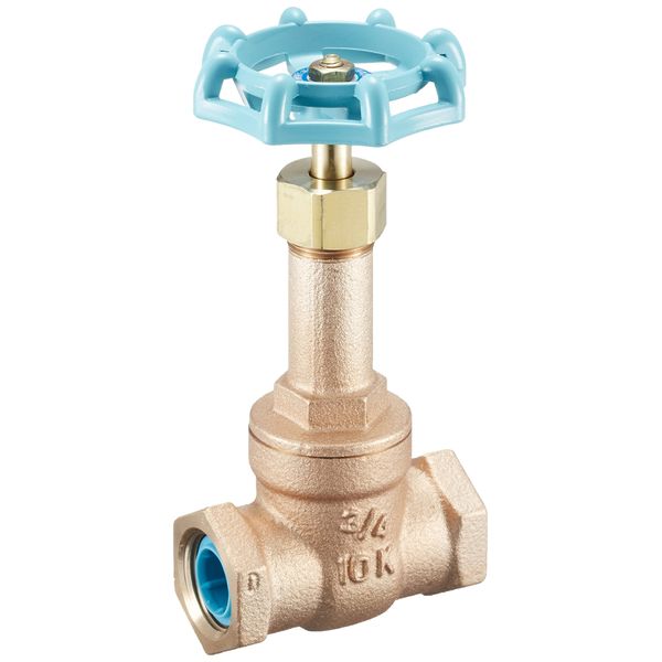 Daiwa Valve, Bronze Gate Valve, 10K Core, 10G-CN20A