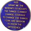11 Month AA Medallion Reflex Purple Gold Plated Chip