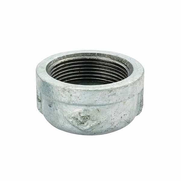 Thrifco 9218081 1/4 inch Galvanized Cap
