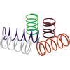 EPI Primary Drive Clutch Spring - White