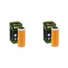 Hiflo Quantity 2 Motorcycle Oil Filter HF652