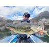 Engine LikeFive #45 Natural Fish