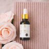 Loelle - Cold-Pressed Carrot Seed Oil - Organic Carrot Oil with Beta Carotene and Antioxidants - Face Oils for Sun-Damaged Skin - Harvested in France (30ml)