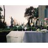 Riedel Ouverture Red Wine Glasses (Set of 2)