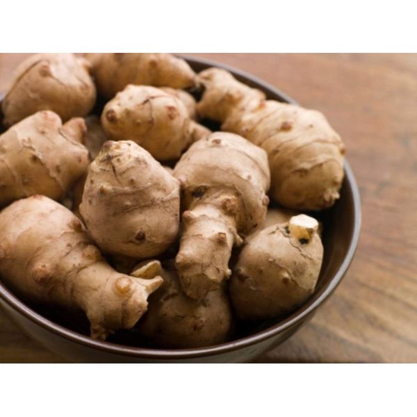 3 Jerusalem Artichoke Tubers For Planting - Organic Sunchokes - Sunroot - Jerusalem Artichokes by Yumheart Gardens (3)