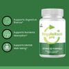 RegulaRoot Pro- Digestive Support- 10 Bottles- 600 Capsules