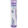 Boiron Anacardium orientale 10M for Indigestion from Overeating - 80 Pellets