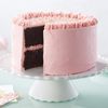 Wilton Cake Icing Smoother