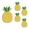 ND-0196-R02-pineapple-A Fashionable Iron Patch Velcro Applique Embroidery Patch