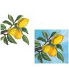 Lemon-Themed Cocktail Napkins 40 Count - Lemon Musee, Lemon Musee White