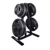 Exersci 2" Weight Plate Storage Tree (In Stock UK)
