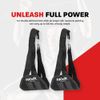 Hawk Sports Black