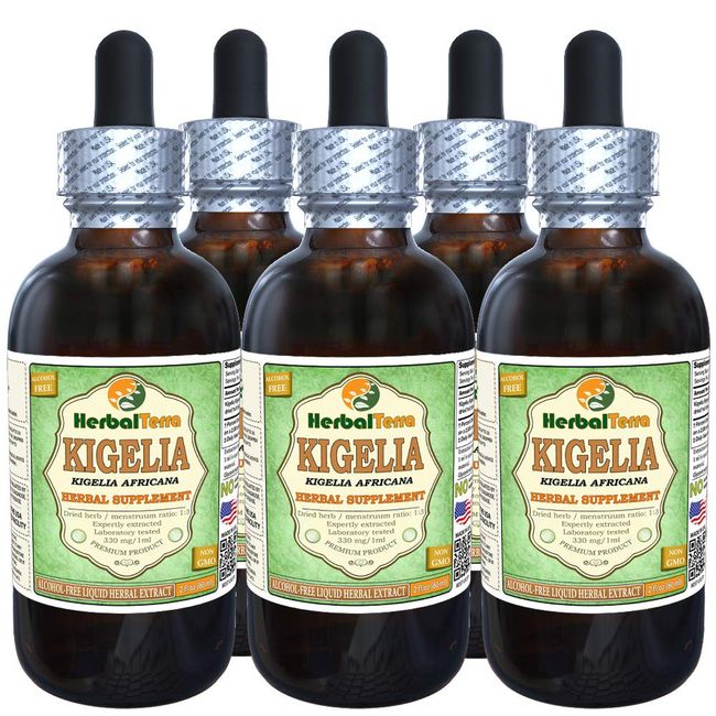 Kigelia (Kigelia Africana) Glycerite, Organic Dried Bark Alcohol-Free Liquid Extract (Brand Name: HerbalTerra, Proudly Made in USA) 5x2 fl.oz (5x60 ml)
