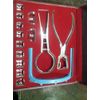Dental Dentist Rubber Dam Kit, Complete Set in Safety Casing