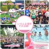 Disposable Wristbands for Event Counting 5 Colors (Pink)