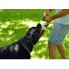 Dean and Tyler Medium Bite Tug, Fire Hose, Size 12-Inch by 4-Inch
