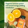 Holland & Barrett Vitamin C 1000mg 120 Tablets