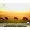 Grass-Fed Collagen Peptides Hydrolyzed 5 lb
