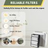 HEPA + Carbon Pre Filter Set  For Holmes HAPF600 HAPF600D HAPF600D-U2 Filter B