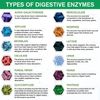 Digestive Enzymes Prebiotic & Probiotics Constipation Bloating Relief 120 Caps
