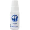 Decant Permec 3.3 fl oz (10 ml) Surfboard Repair