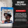 Call of Duty®: Black Ops Cold War (PS4)