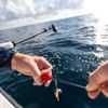 Cannon Offshore Saltwater Line Release, Red
