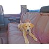 Mud River Mudriver MR7771 Brown Two Barrel Double Seat Cover, Regular/56 x 68"