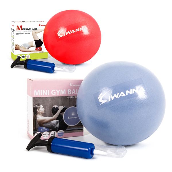 [Tmax] I Warner Mini Gym Ball Lavender 25cm