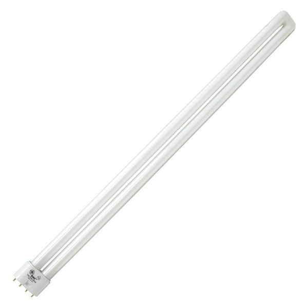 Current Professional Lighting 6S6DC-24PK-145 Incandescent Appliance/Indicator