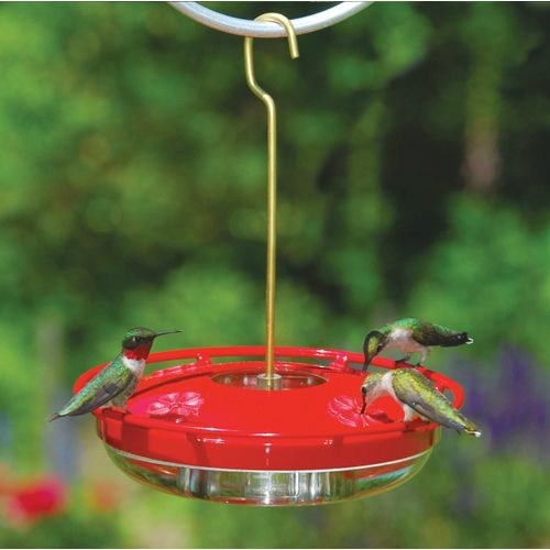 Aspects HummZinger HighView 12 Oz Hanging Hummingbird Feeder - 429, Red