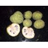 5 Organic Cherimoya/Custard Sugar Apple Tropical Fruit Seeds.US grown seeds.