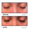 Lash & Brow Serum: Seductive Lashes Best Lash Serum