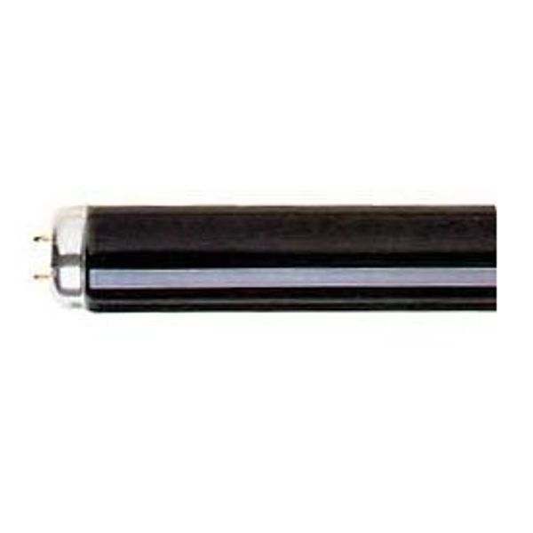 Replacement for American Diagnostic ZB-F40BLB Light Bulb by Technical Precision