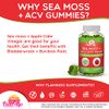 Sea Moss Gummies with Apple Cider Vinegar, Bladderwrack, and Burdock Root Organic- Sea Moss Gummies for Adults and Kids- Vegan, Organic, Irish Seamoss for Detox Cleanse, Seamoss and ACV – 70 Ct