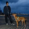 [zee.dog] HANDS FREE LEASH HANDS FREE LEASH NOX