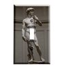 Michelangelo David Turned On/Turned Off Switchplate - Switch Plate Cover - 1 toggle