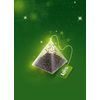 Loyd Fruit Tea Raspberry & Strawberry Flavored, 20 teabags (Pack of 2)