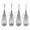 4 Pcs Luxating Straight Elevators Set Dental Instruments Stainless German Grade