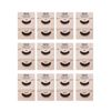 Callas Beau Wing Eyelashes #66 1pair x 12 sets