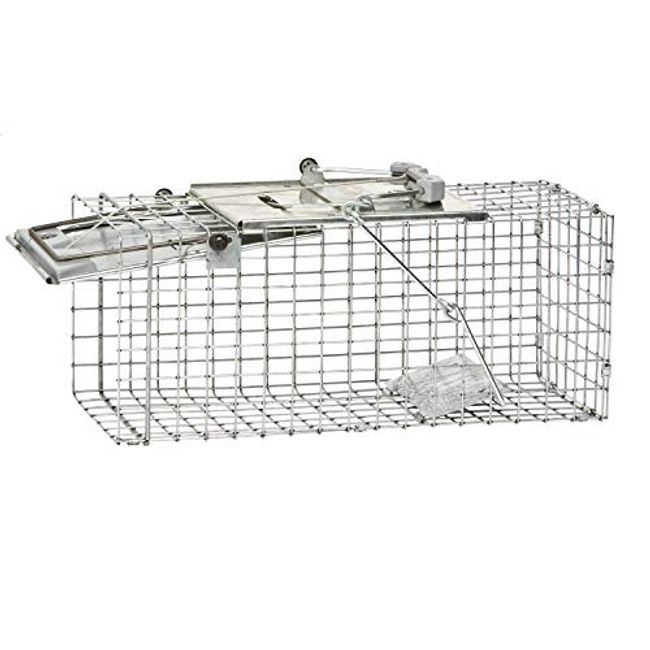 Havahart Cage Trap Model 1078 for Squirrels, Skunks, Mink and