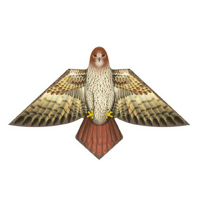 X-Kites Birds of Feather - 54 inch Hawk Kite