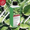 Funkien-Dünger – Dünger für Hosta 250 ml NPK Flüssigdünger