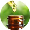 Natures Wisdom Flower Essences Using FES Chrysanthemum 30ml Dosage
