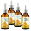 APIHAUS PROPOLIS & MANUKA HONEY THROAT SPRAY