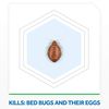Raid Bed Bug Foaming Spray, Kills Bed Bugs and Their Eggs, For Indoor Use, Non-Staining, Keeps Killing for Weeks, 16.5 oz